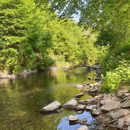 Rubinhaus Fuer Dich Allein! * سولينجين