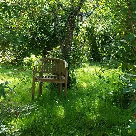 Rubinhaus Fuer Dich Allein! * سولينجين