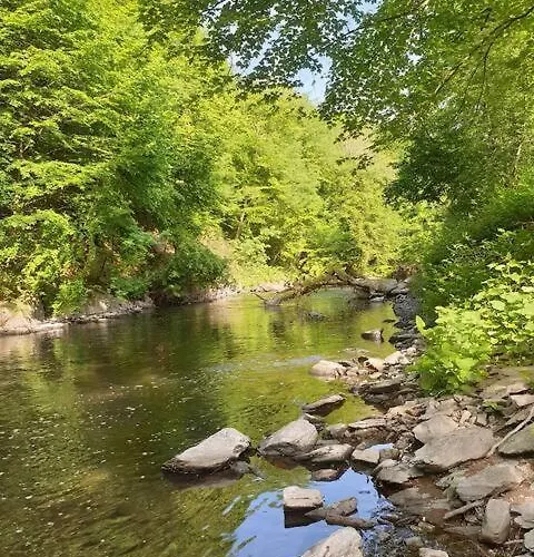 Rubinhaus Fuer Dich Allein! * Solingen